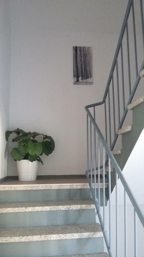 Mistel Apartman 博登斯多夫 外观 照片