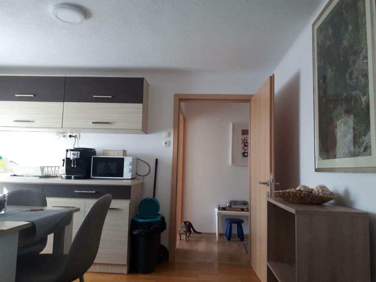 Mistel Apartman 博登斯多夫 外观 照片